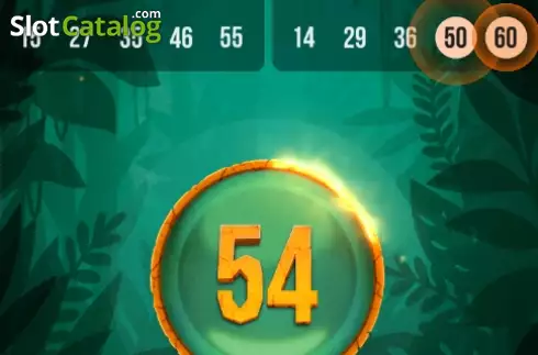 Οθόνη3. Tiger Bingo Express Κουλοχέρης 