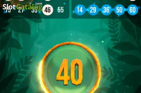 Οθόνη4. Tiger Bingo Express Κουλοχέρης 