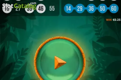 Οθόνη5. Tiger Bingo Express Κουλοχέρης 
