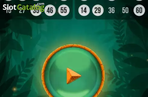 Οθόνη6. Tiger Bingo Express Κουλοχέρης 