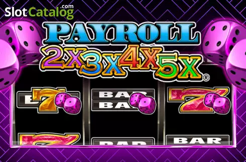 Payroll 2x3x4x5x Λογότυπο
