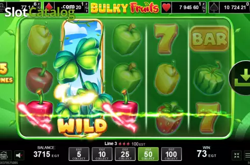 Οθόνη4. Bulky Fruits Κουλοχέρης 
