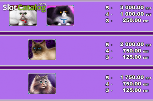 Οθόνη3. 100 Cats Κουλοχέρης