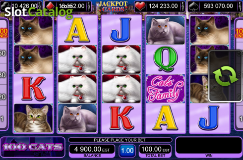 Οθόνη8. 100 Cats Κουλοχέρης