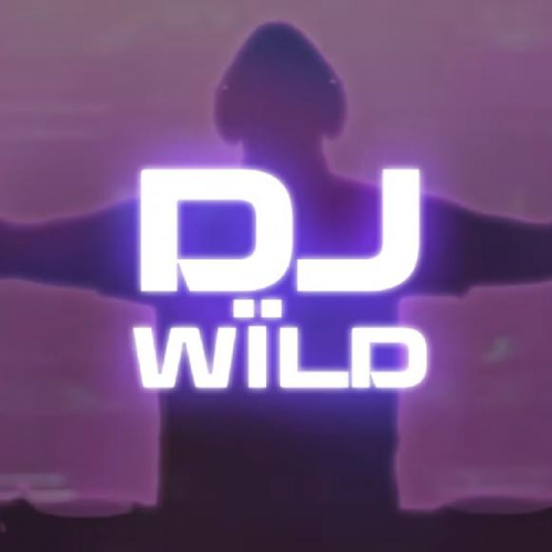 DJ WÏLD Λογότυπο