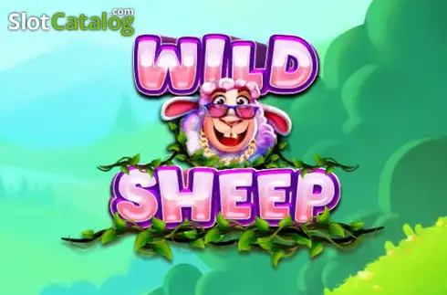 Wild Sheep 2026-04-29