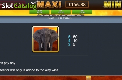 Οθόνη6. Stampede Jackpot Κουλοχέρης