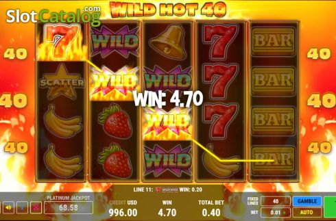 Οθόνη4. Wild Hot 40 Κουλοχέρης