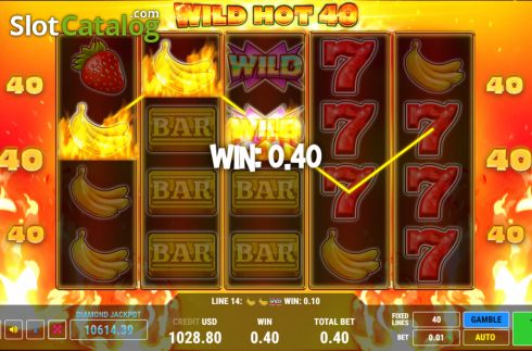 Οθόνη5. Wild Hot 40 Κουλοχέρης