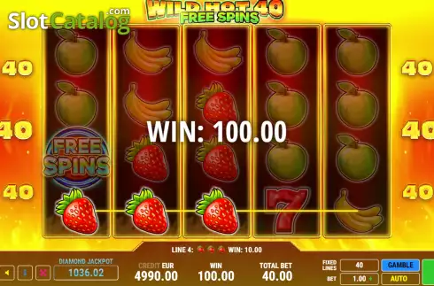 Οθόνη4. Wild Hot 40 Free Spins Κουλοχέρης