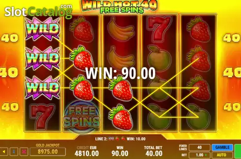 Οθόνη3. Wild Hot 40 Free Spins Κουλοχέρης