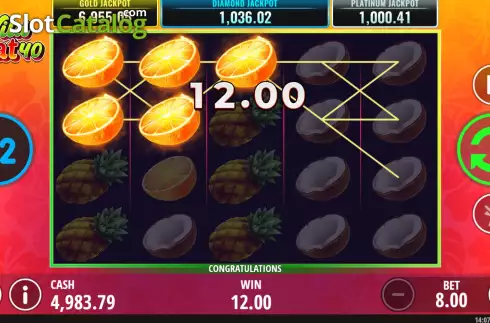 Οθόνη3. Wild Heat 40 Κουλοχέρης