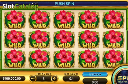Οθόνη2. Hawaii (Funky Games) Κουλοχέρης