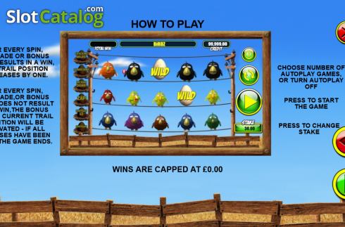 Οθόνη5. Birdz (Games Warehouse) Κουλοχέρης