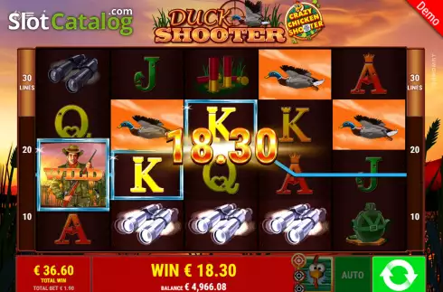 Οθόνη8. Duck Shooter CCS Κουλοχέρης