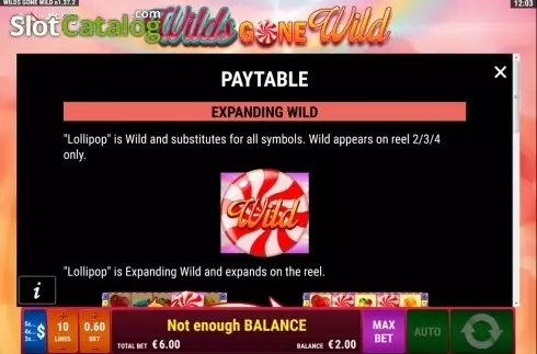 Οθόνη2. Wilds gone wild Κουλοχέρης