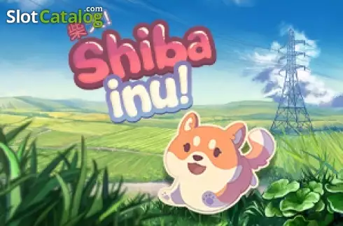 Shiba Inu