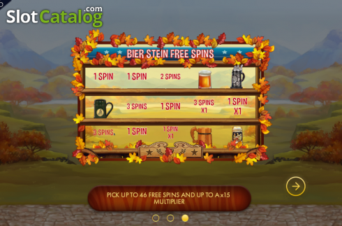 Τα χαρακτηριστικά του παιχνιδιού. Bier Fest Κουλοχέρης