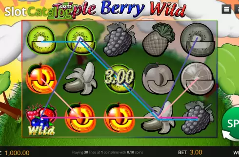 Οθόνη5. Triple Berry Wild Κουλοχέρης 