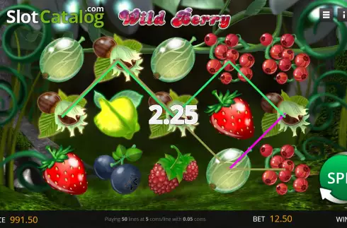 Οθόνη5. Wild Berry Κουλοχέρης
