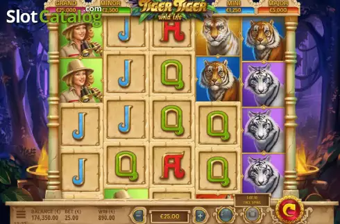 Οθόνη9. Tiger Tiger Κουλοχέρης
