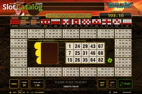 Οθόνη3. Book of Ra Multi Card Bingo Deluxe Κουλοχέρης