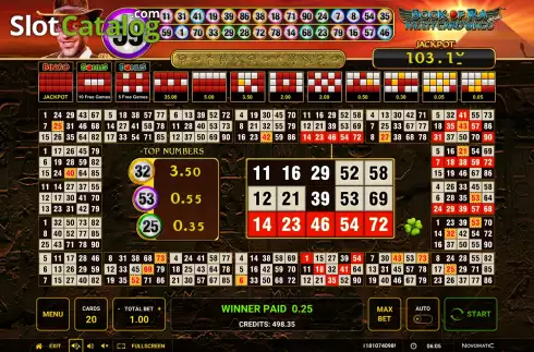 Οθόνη4. Book of Ra Multi Card Bingo Deluxe Κουλοχέρης
