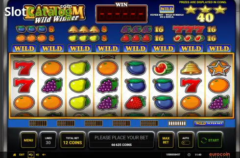 Οθόνη2. Random Wild Winner Κουλοχέρης
