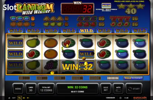 Οθόνη3. Random Wild Winner Κουλοχέρης