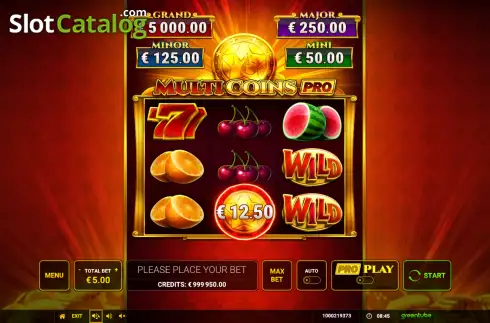 Οθόνη2. Multi Coins Pro Κουλοχέρης