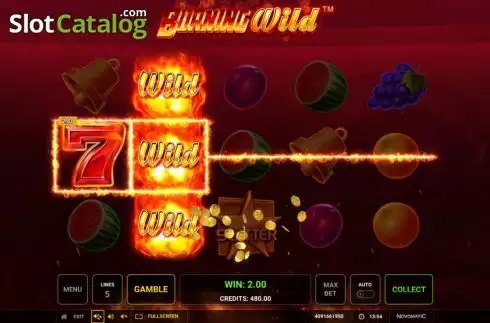 Οθόνη5. Burning WILD (Greentube) Κουλοχέρης 
