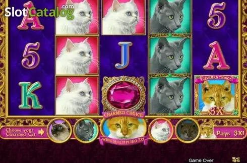 Οθόνη2. Purrfect Κουλοχέρης