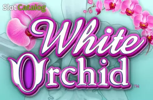 White Orchid Λογότυπο