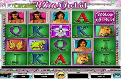 Ροδέλες. White Orchid Κουλοχέρης 