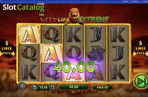 Οθόνη4. The Wild Life Extreme Κουλοχέρης