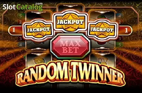 Random Twinner