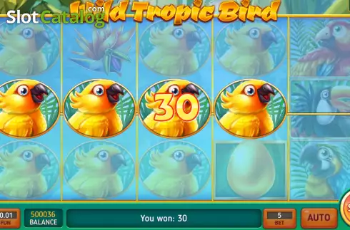 Οθόνη5. Wild Tropic Bird Κουλοχέρης