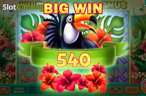 Οθόνη4. Wild Parrot Bonus Κουλοχέρης