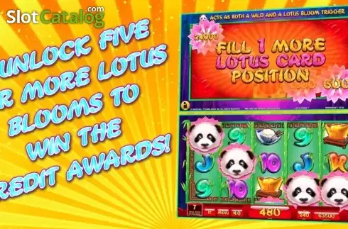 Οθόνη7. Lotus Panda Κουλοχέρης 