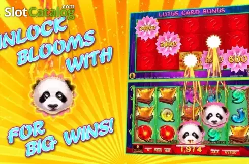 Οθόνη9. Lotus Panda Κουλοχέρης 