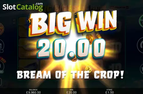 Οθόνη6. Big Big Fishing Fortune Κουλοχέρης