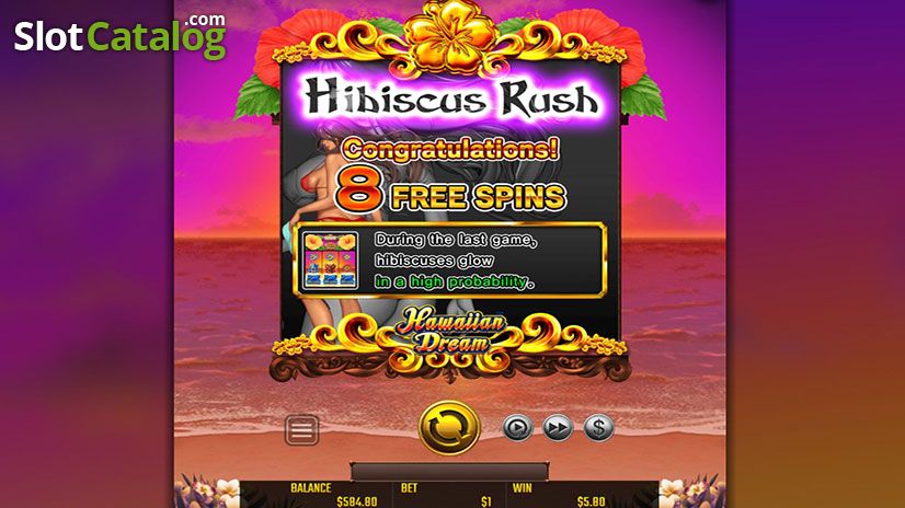 Video Hawaiian Dream