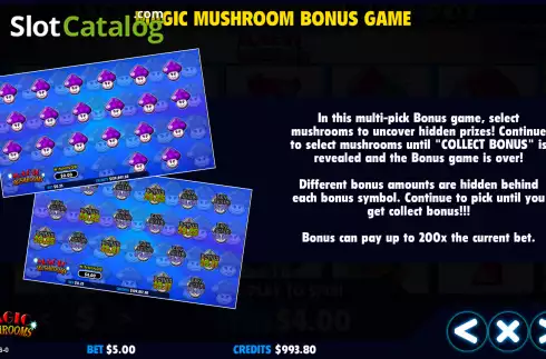 Οθόνη7. Magic Mushrooms (Jackpot Software) Κουλοχέρης
