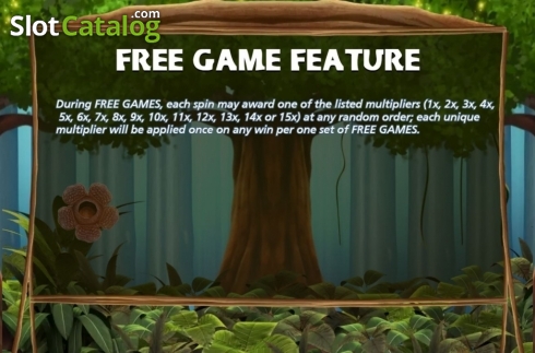 Οθόνη6. The Primeval Rainforest Κουλοχέρης 