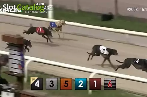 Οθόνη2. Pre-recorded Dog Racing Κουλοχέρης