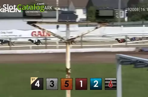 Οθόνη3. Pre-recorded Dog Racing Κουλοχέρης
