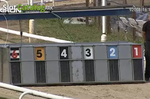 Οθόνη4. Pre-recorded Dog Racing Κουλοχέρης