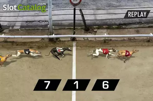 Οθόνη5. Pre-recorded Dog Racing Κουλοχέρης