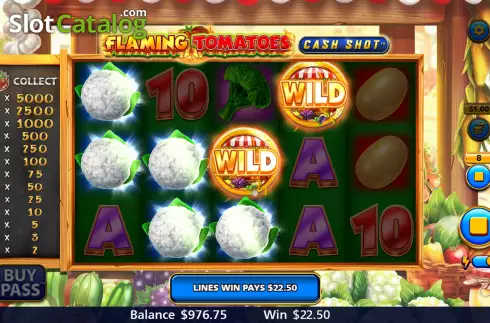 Οθόνη6. Flaming Tomatoes: Cash Shot Κουλοχέρης