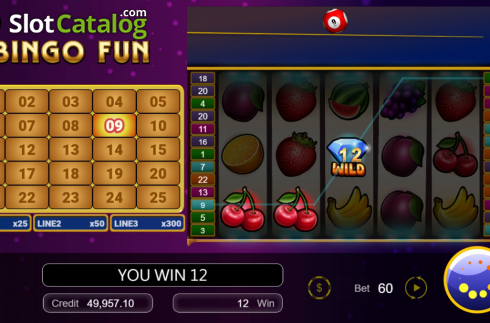 Οθόνη4. Bingo Fun Κουλοχέρης